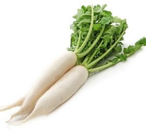 Fresh Radish, Color : White, Green for Cooking