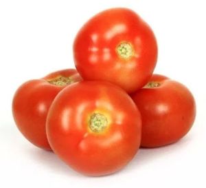 Fresh Red Tomato, Packaging Type : Bag for Cooking, Salads