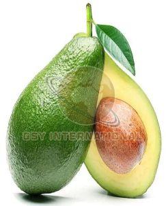 A Grade Fresh Avocado, Color : Green for Culinary