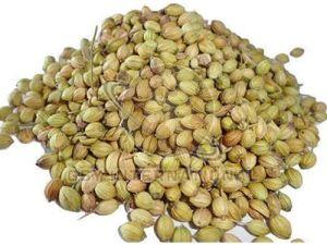 Brown Coriander Seeds, Packaging Type : Resealable Bag