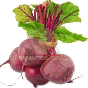 Fresh Beetroot, Color : Dark Red
