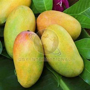 Yellow-orange Fresh Indian Kesar Mango, Packaging Type : Carton Box