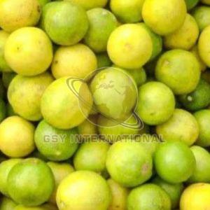 Fresh Lemon, Color : Yellow, Packaging Type : Bag
