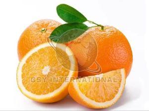 Fresh Orange, Packaging Type : Box, Grade : Food Grade