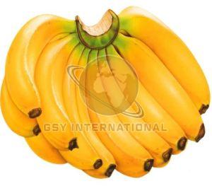Fresh Yellow Banana, Packaging Type : Loose for Direct Consumption