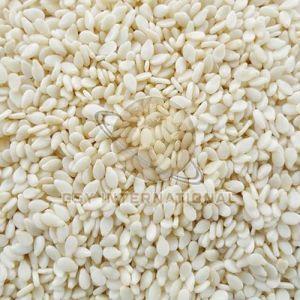 Hulled White Sesame Seeds, Packaging Type : Bag