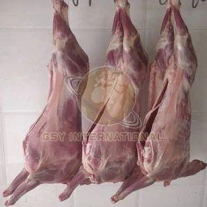 Whole Frozen Mutton for Cooking