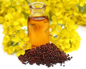 Mustard Oil, Color : Yellow, Packaging Type : Bottle for Cooking