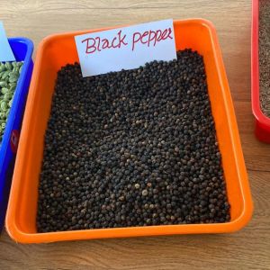 Black Pepper Seeds