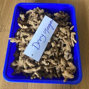 Dried Ginger
