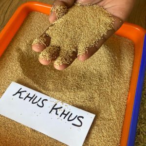 Khus Khus Seeds