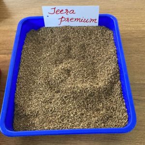 Premium Jeera Seeds