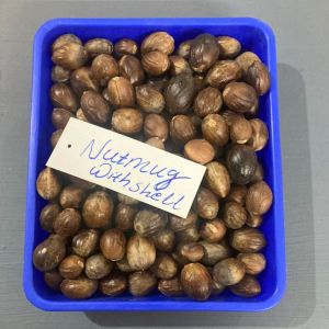Shelled Nutmeg