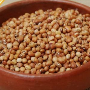 Dried Cow Peas for Cooking, Storage Instructions : Dry Place