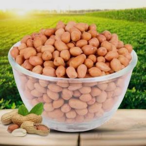 Natural Groundnut Kernels, Packaging Type : PP Bags