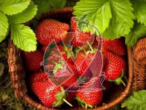 B Grade Strawberry, Color : Red, Taste : Sweet Juicy