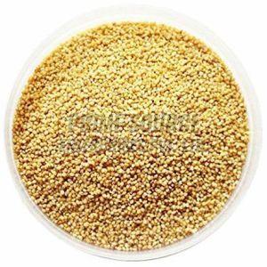 Foxtail Millet Seeds, Color : Light Brown for Cooking, Baking