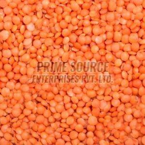 Whole Red Masoor Dal, Packaging Type : Bag for Cooking