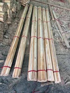 Teak Wood Margin Patti