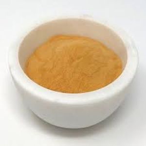 10 TU Papain Enzyme Powder Dried