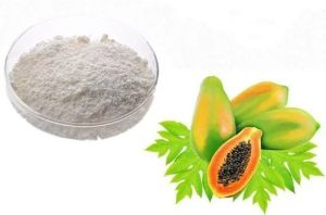 Papain Powder