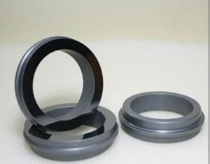 Silicon Carbide Stationary Seal