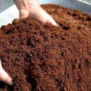 Cocopeat Powder, Color : Brown, Purity : 100%