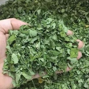Dried Moringa Leaves, Color : Green, Grade : Medicine Grade