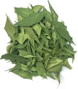 Green Dried Neem Leaves for Herbal Tea, Culinary Purposes