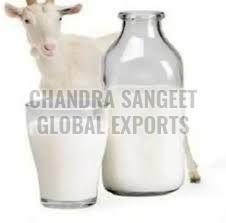 Fresh Goat Milk, Color : White, Packaging Type : Bottle