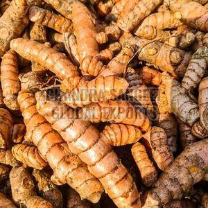 Orange Fresh Turmeric Roots, Packaging Type : Bag
