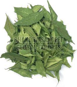 Green Dried Neem Leaves for Herbal Tea, Culinary Purposes