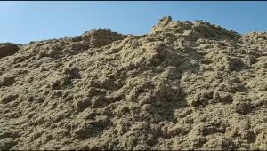 Sugarcane Bagasse, Form : Powder, Packaging Type : Loose for Bio Fuel