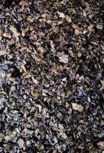 Raw Natural Cashew Nut Shell Cake, Color : Golden, Form : Solid