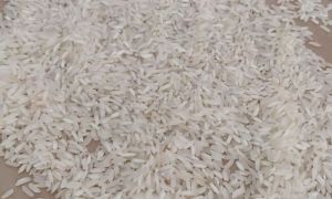 White 15% Broken Parboiled Rice, Packaging Size : 25Kg, 50Kg