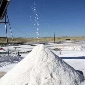 Moisture Free Industrial Salt