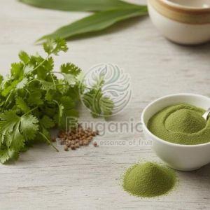 Green Spray Dried Coriander Powder for Seasoning