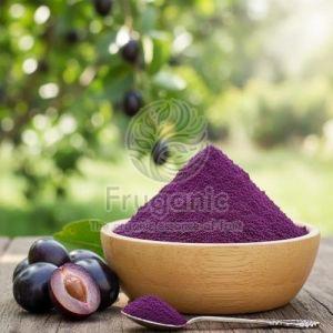 Spray Dried Jamun Powder, Color : Purple