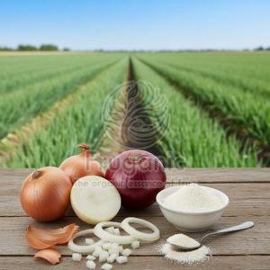 White Onion Powder, Packaging Size : 50g, 100g
