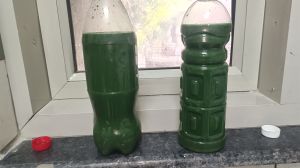 Liquid Spirulina Mother Culture