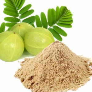 Amla Powder, Color : Light Brown, Grade : Food Grade