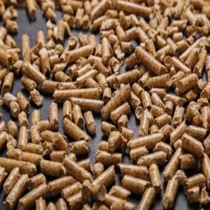 Non Torrefied Biomass Wood Pellets <12%, Packaging Type : PP Bags