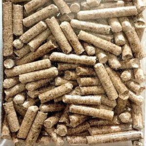 Non Torrefied Eco Pellets for Boilers