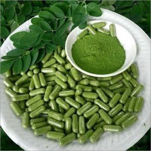 Moringa Capsules, Color : Green, Grade Standard : Medicine Grade