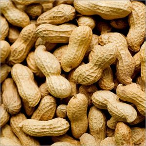 Shelled Groundnuts, Color : Brown