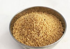 Organic Foxtail Millet Seeds, Seed Type : Natural