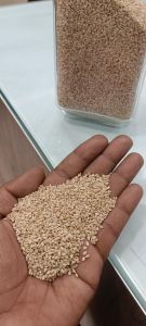 White Organic Sesame Seeds, Packaging Size : 50g, 25kg