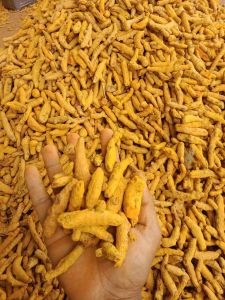 turmeric