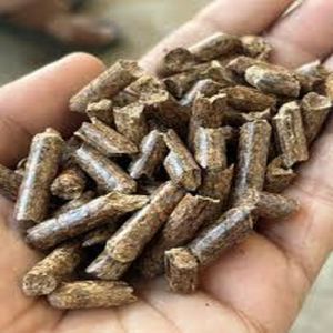 Wooden 8mm Wood Pellets < 15 %, Packaging Type : Gunny Bag