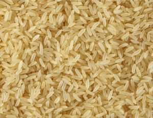 Parboiled Rice, Color : Gold, Packaging Size : 10Kg, 25Kg, 50Kg